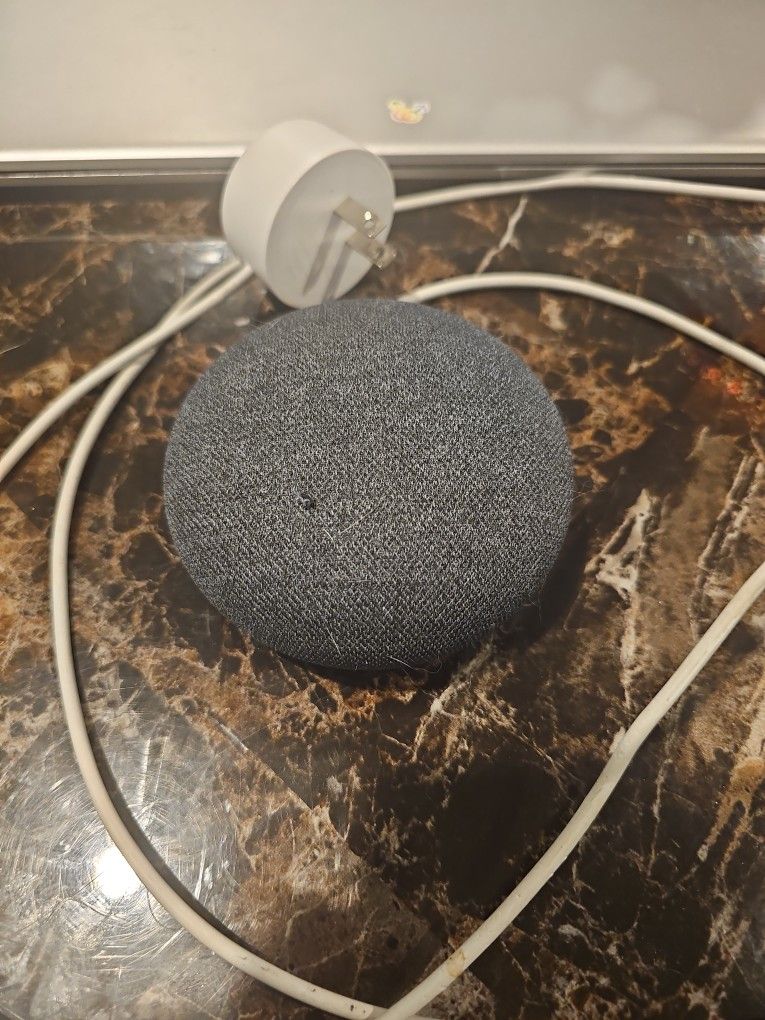 Google Mini