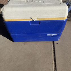 Medium Sized Igloo Cooler