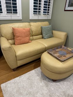 Set of Multicolored Couches