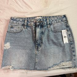Pacsun Mini Skirt