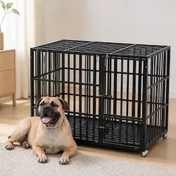 Kennels