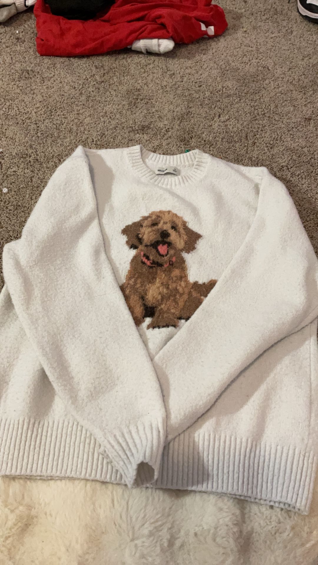 Dog Sweatshirt Hollister Size Xs
