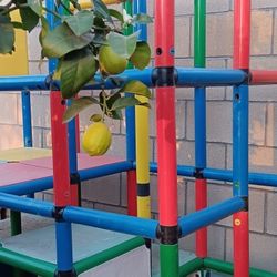 Free (Pending Pick Up 1/16/26)