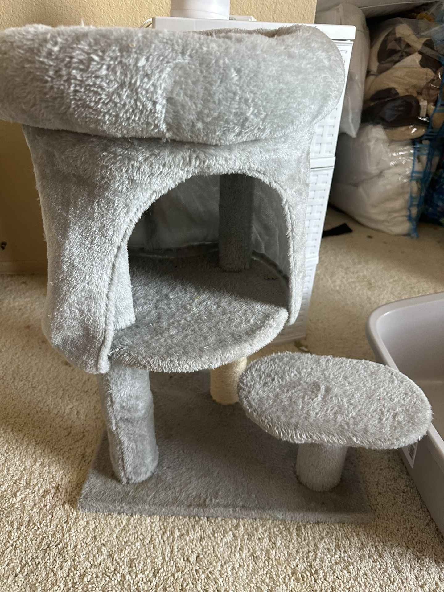 Kitten Supplies