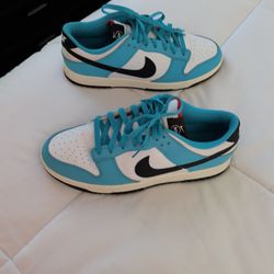 Nike Dunk Low Next Nature Men Size10  Excellent Condition!