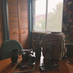 Sony Alpha A7 III + Sony Lenses