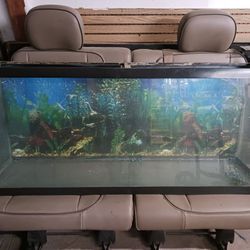 55 Gallon Fish Tank $80 O.B.O