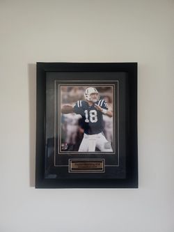 NFL COLTS PAYTON MANNING PICTURE