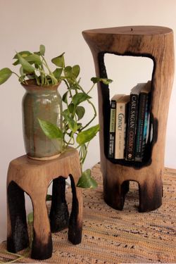 Companion Stools - End Table & Plant Stand