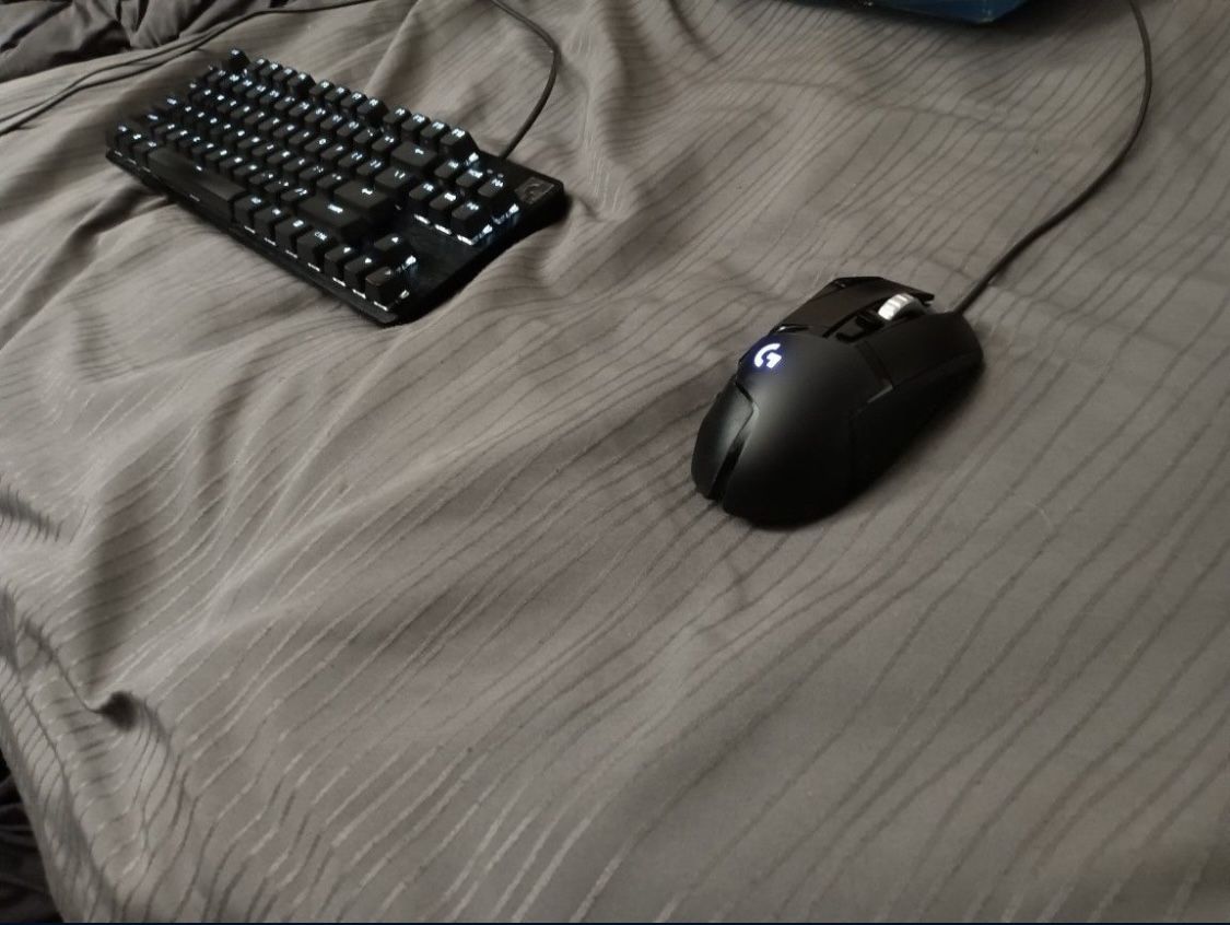 Logitech G502 HERO + Logitech G413 TKL SE Mechanical Keyboard