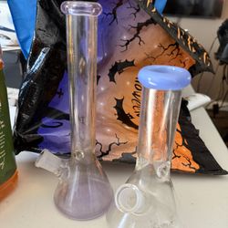 2 Flower Vases For Natural Plants Only 