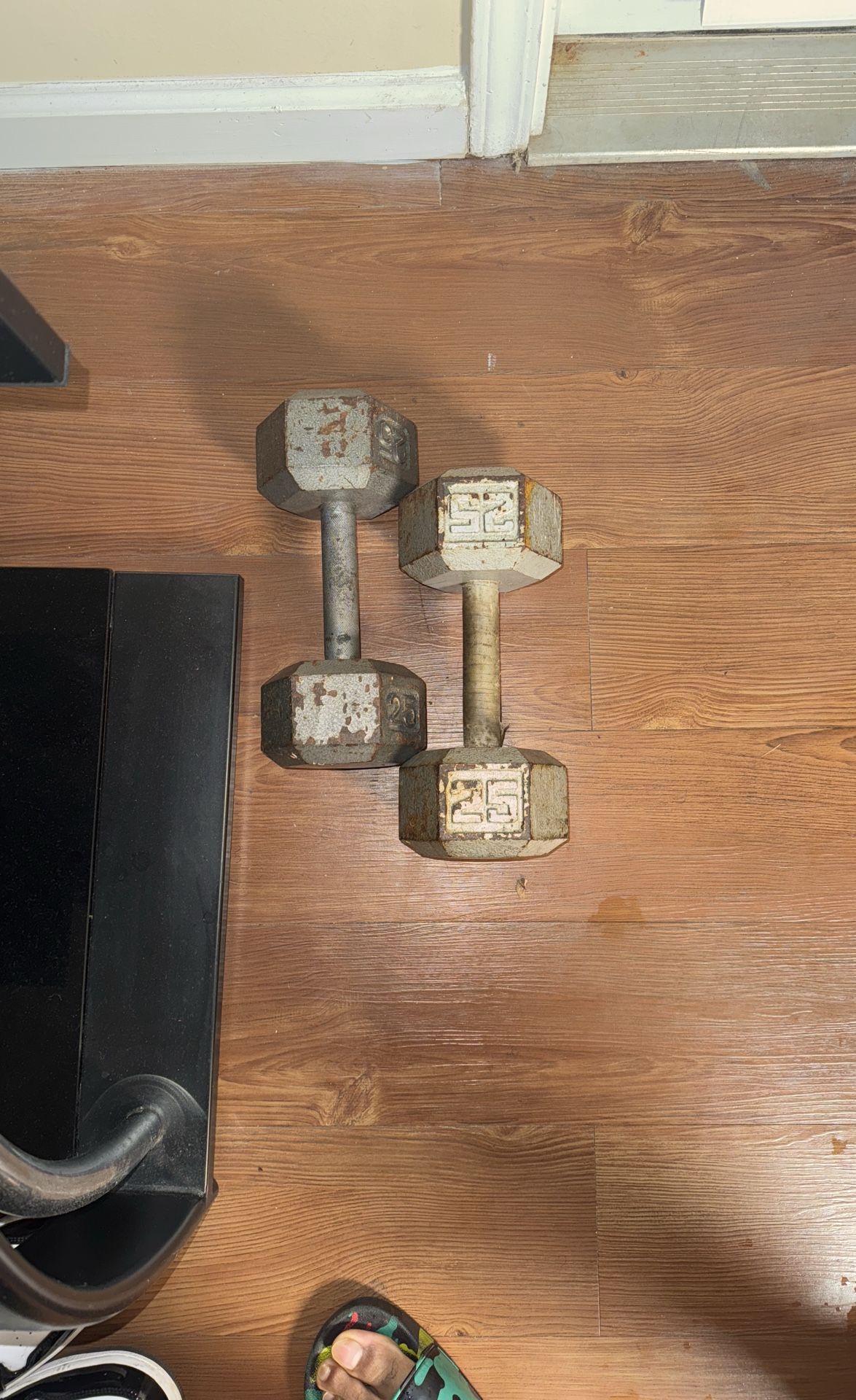 Iron Dumbbells 25 Lbs