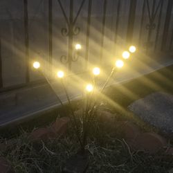 Solar Lights 