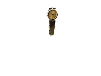 Seiko 1n00-0sc0 Gold Regular Watch