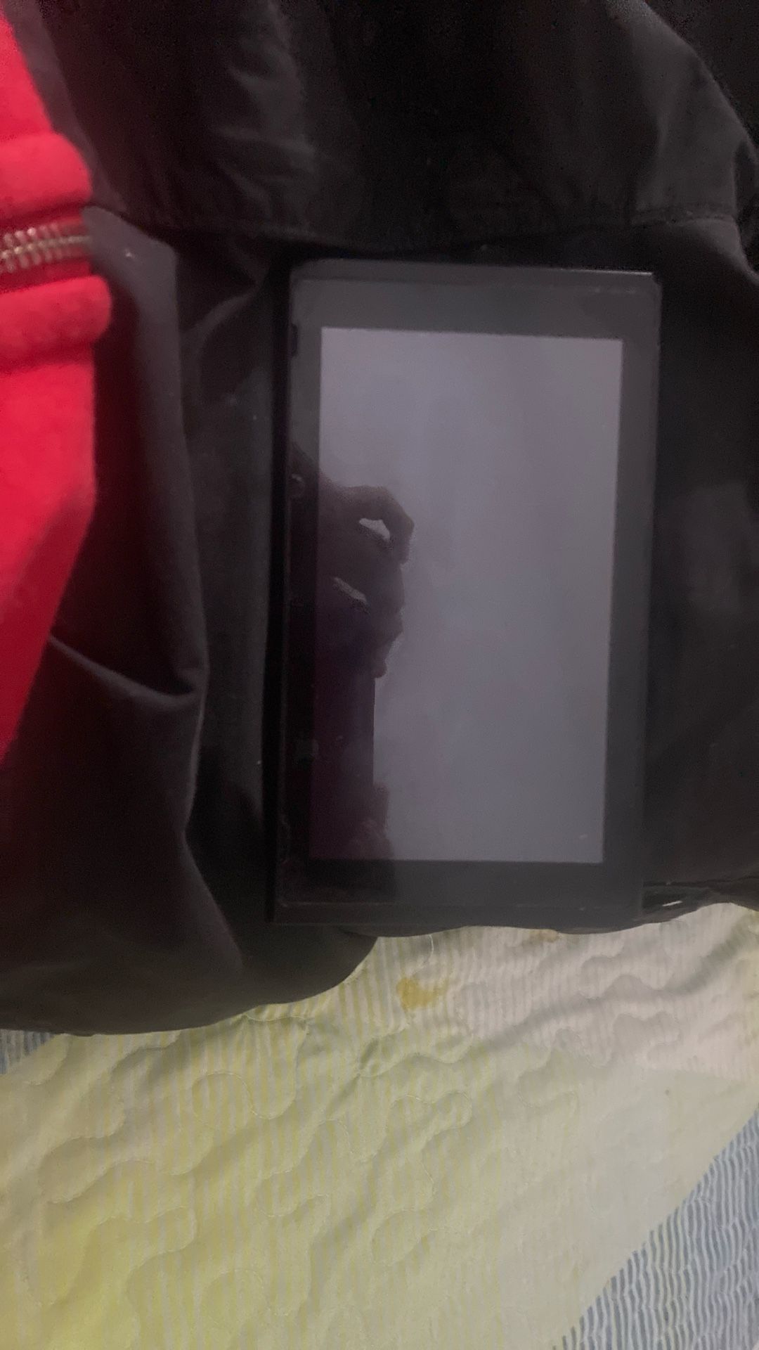 Nintendo Switch2 Screen