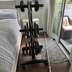 Full Weight Set With Tree