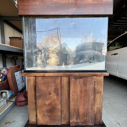 40 Gallon Fish Tank