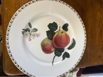 Dinner plate
