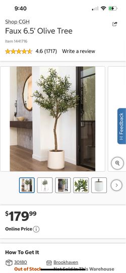 Brand New CGH 6.5ft Artificial Olive Tree