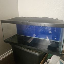Fish Tank 20 Gal