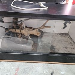 #reptile Enclosures