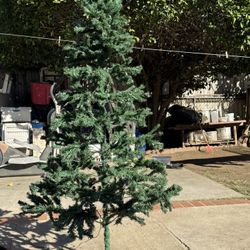  Christmas Tree 🎄 