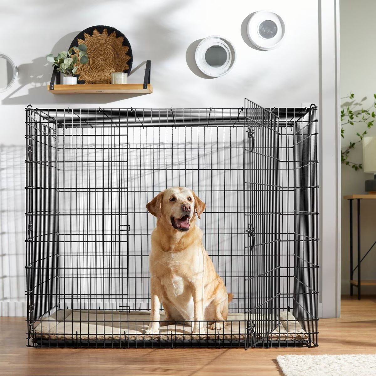 Frisco XX-Large Heavy Duty Wire Dog Crate