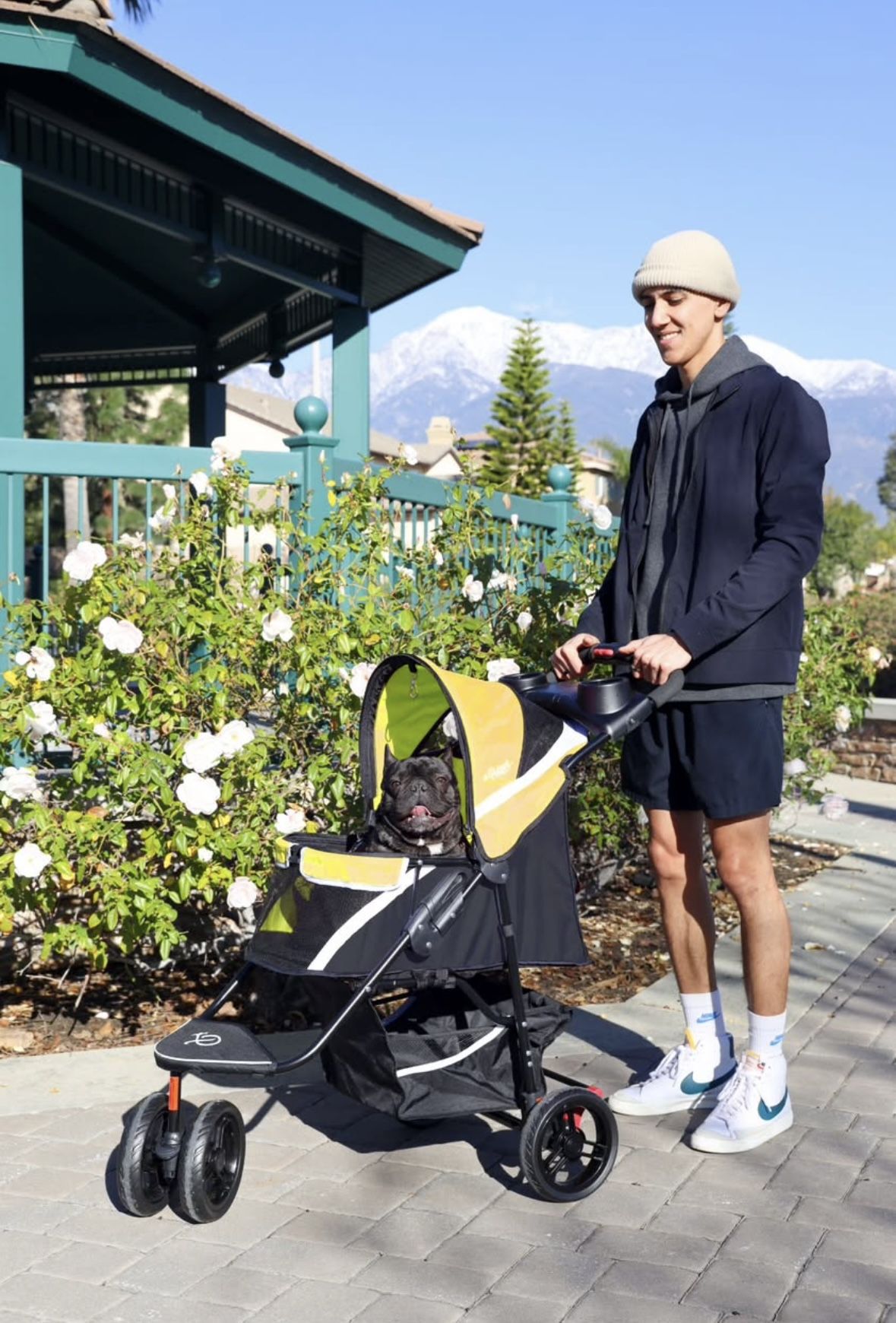 Black And Yellow Pet Stroller For Dogs, Cats, Small Animals