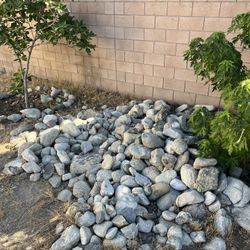Rocks 
