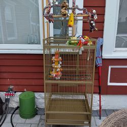 Bird Cage 
