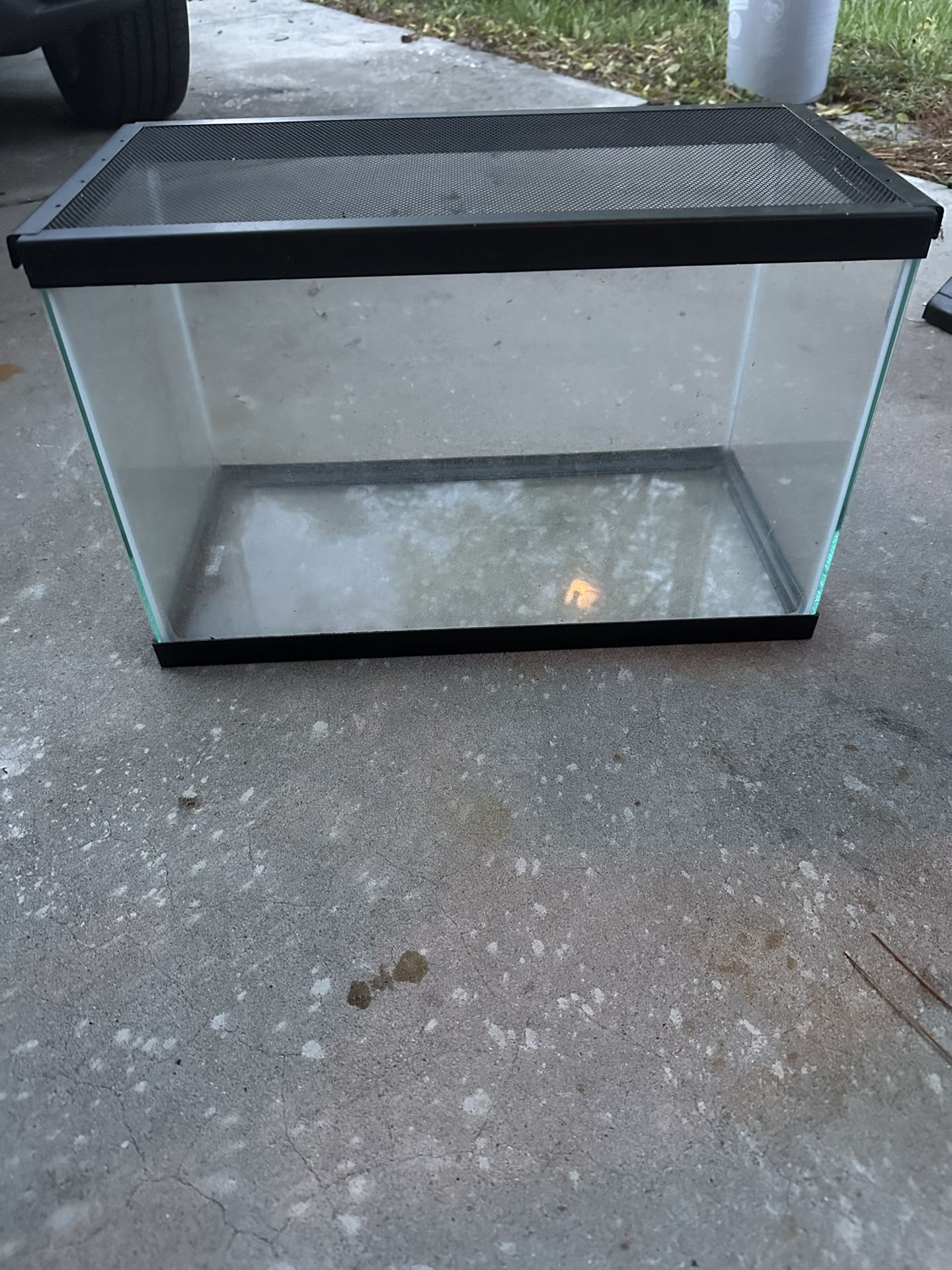10 Gallon Tank With Lid