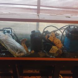 150 Gallon Tank