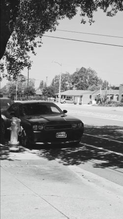2011 Dodge Challenger