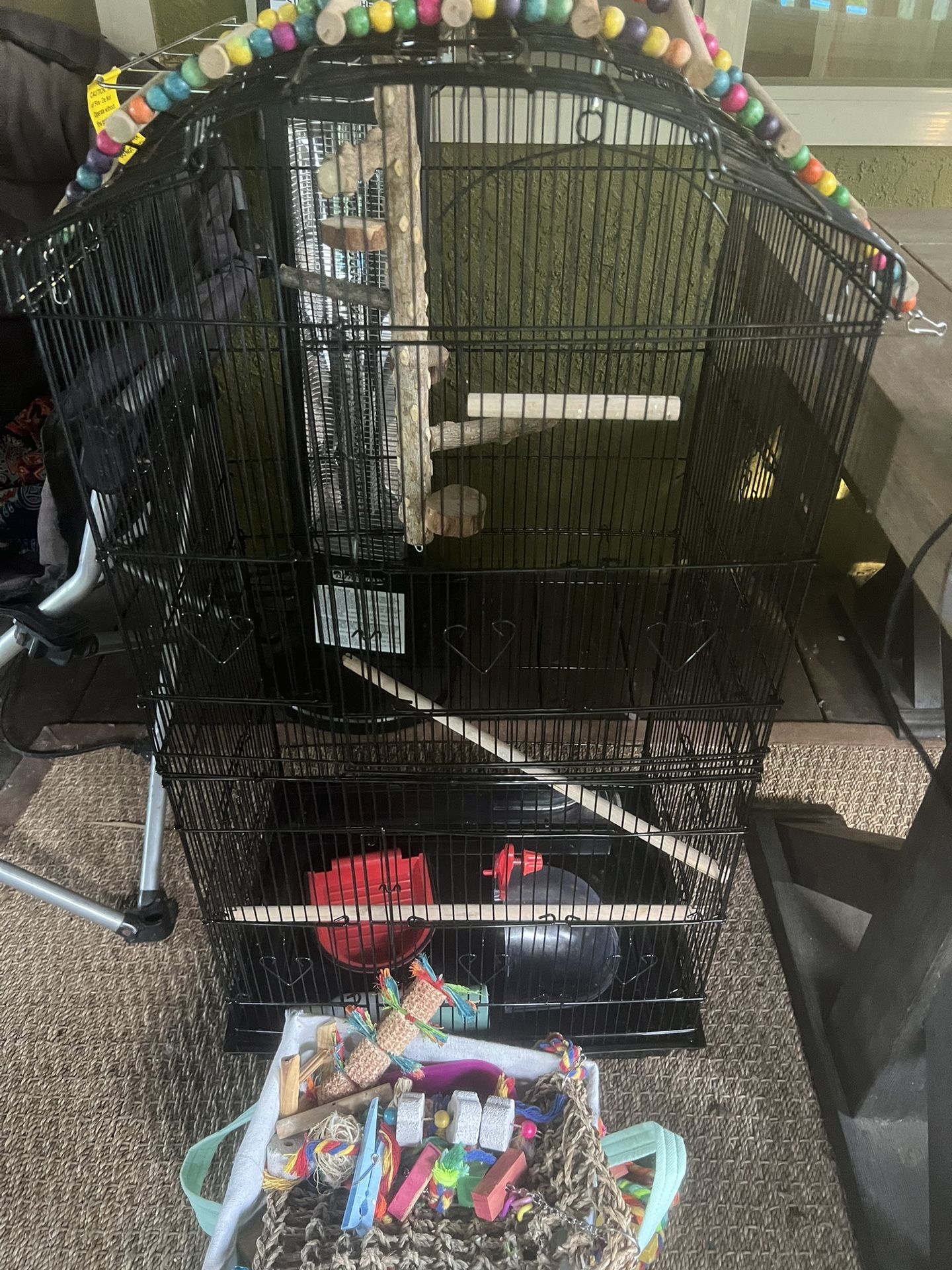 Birdcage Tall Parakeets