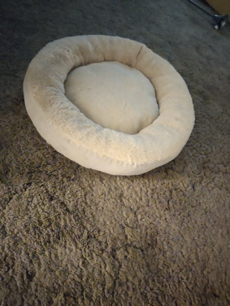 Cat Bed
