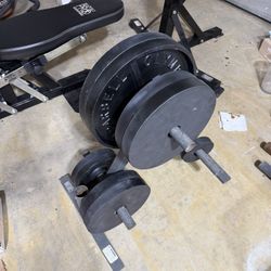 Olympic Weights With Weight Tree