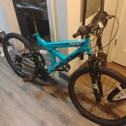 Gauntlet Bike