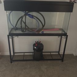 Fish Tank 55 Gallon
