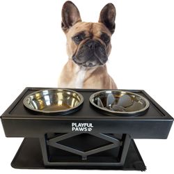 Elevated Dog Or Cat Bowls With Slow Feeder