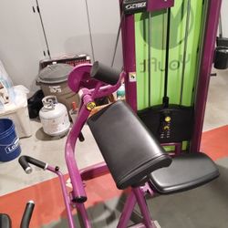 *SALE* Cybex Bicep Arm Curl Commercial Gym Machine