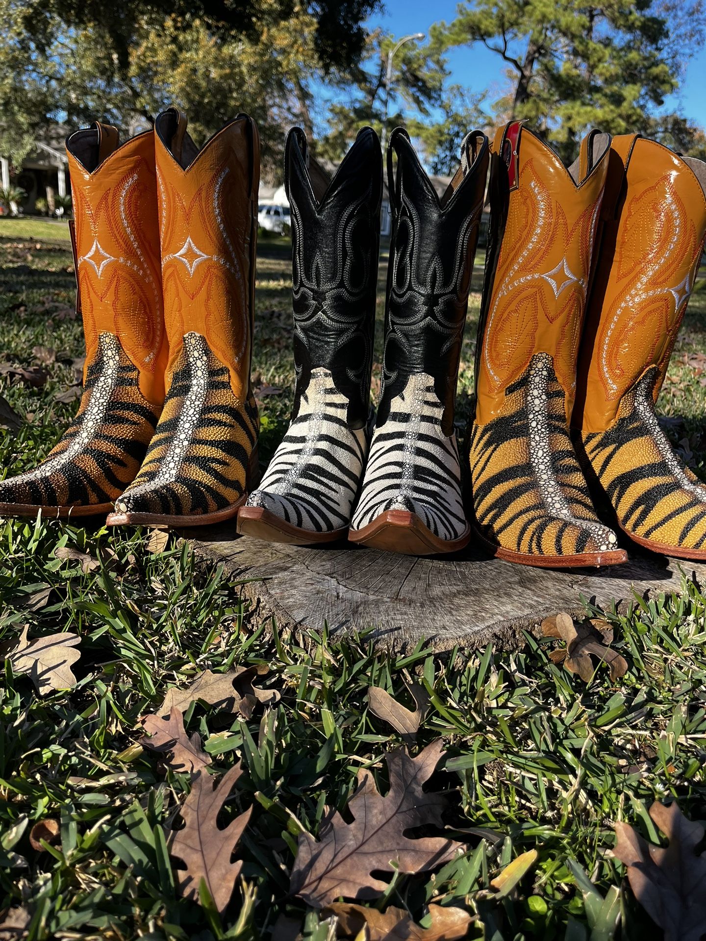 Manta Ray Botas (9-1/2 De Blanco Y Negro) 29-1/2 Y 6-1/2 De Otro Sting Ray AUTHENTIC!!!! Sting Ray Boots Sting Ray Boots Tiger And Zebra