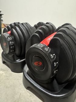 Bowflex Dumbells