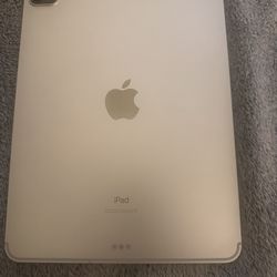 iPad Pro (11 inch) (2 generation) 2020