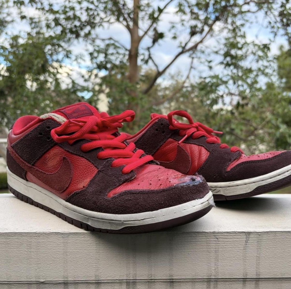 Nike SB Dunk Low 
