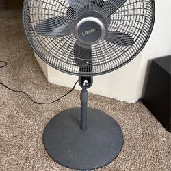Pedestal fan
