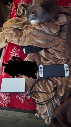 Nintendo switch oled