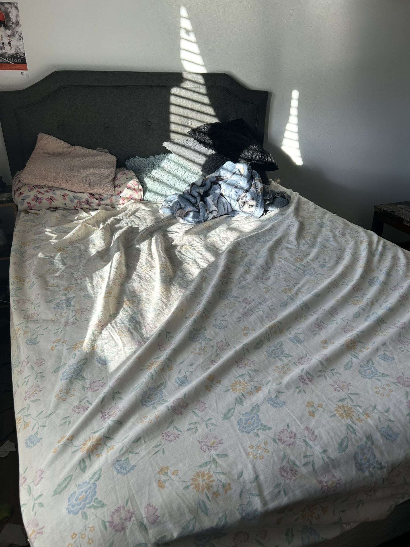 Full Size Bed (Mattress & Spring Included)