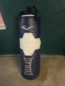 Everlast punching bag