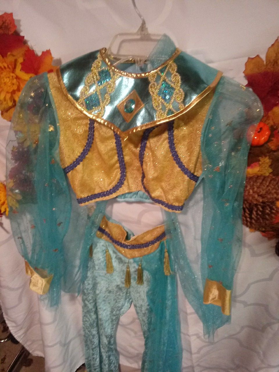 Jasmine Costume