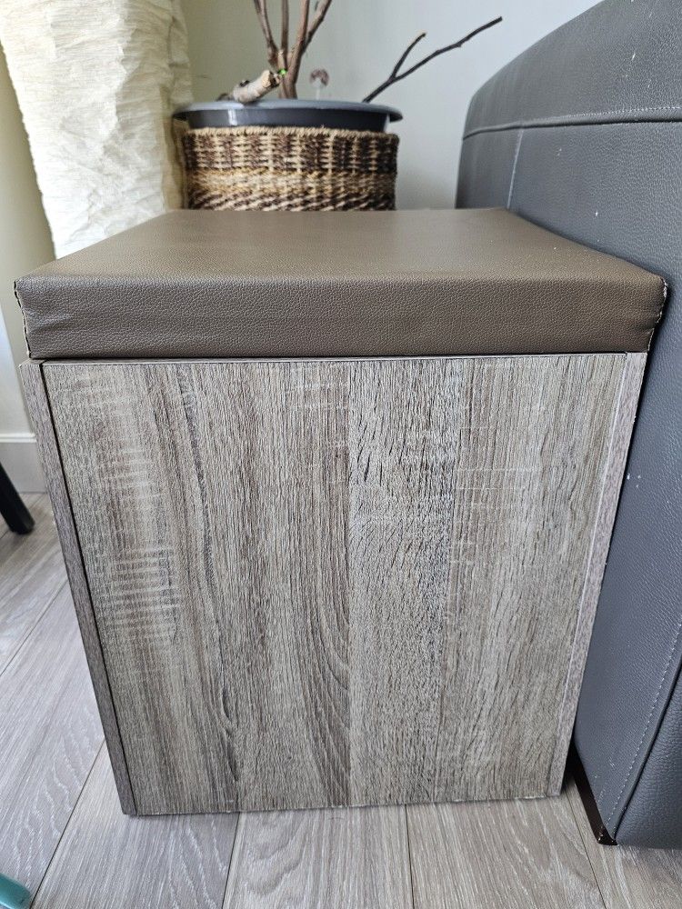 Ottoman/stools W Storage
